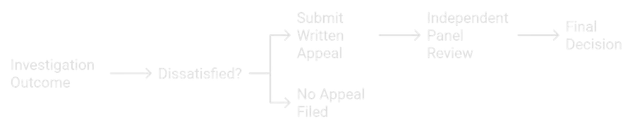 Diagram of the appeals process.